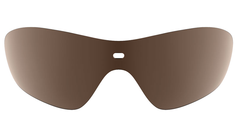 Water Shield Polarized brown